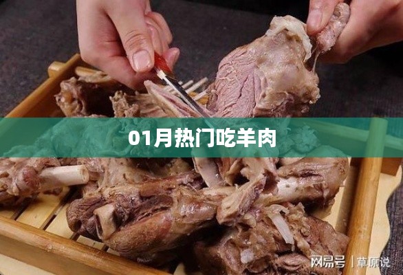 冬季羊肉美食风潮来袭，一月热门羊肉食谱推荐