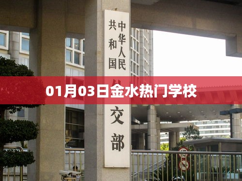 金水热门学校最新资讯，01月03日动态更新