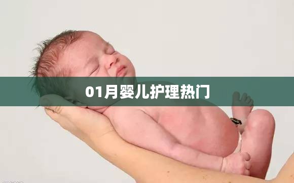 婴儿护理秘籍，一月新生儿的呵护之道