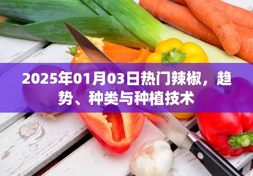 2025年辣椒流行趋势、种类与种植技术探讨