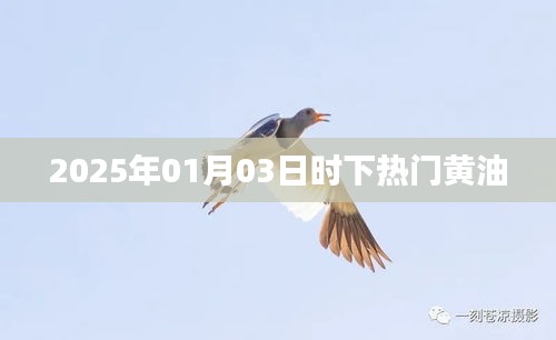 2025年热门黄油趋势解析