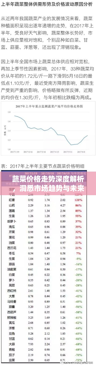 蔬菜价格走势深度解析，洞悉市场趋势与未来预测