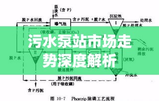 污水泵站市场走势深度解析