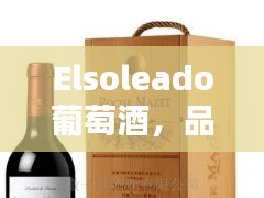 Elsoleado葡萄酒，品质与价值完美融合的价格解析