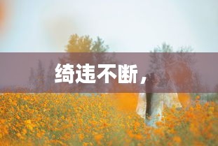 绮违不断， 