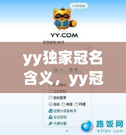 yy独家冠名含义，yy冠名是什么意思 