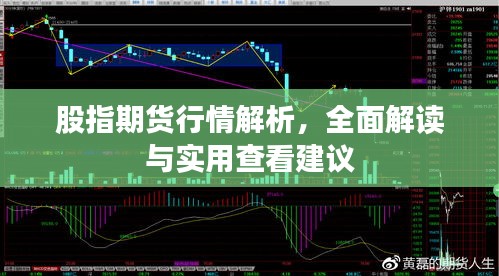 股指期货行情解析，全面解读与实用查看建议