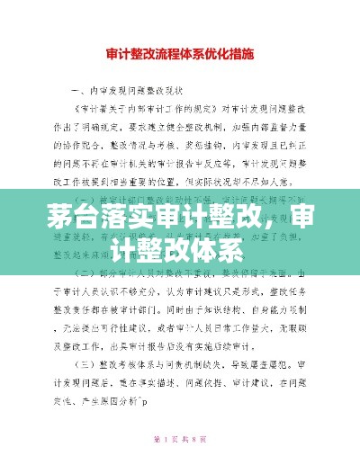 茅台落实审计整改，审计整改体系 