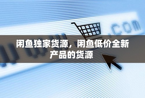 闲鱼独家货源，闲鱼低价全新产品的货源 