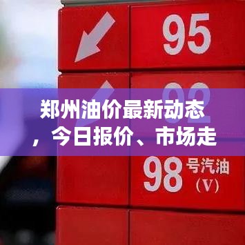 郑州油价最新动态，今日报价、市场走势及影响因素深度解析