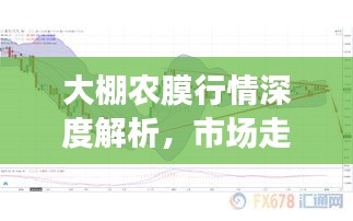 大棚农膜行情深度解析，市场走势、价格及影响因素全揭秘