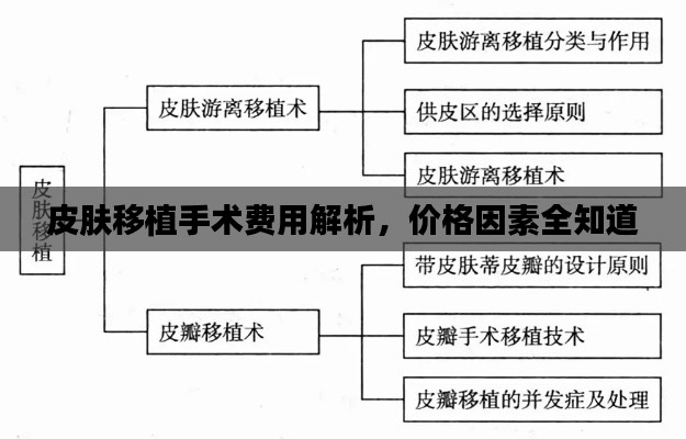 皮肤移植手术费用解析，价格因素全知道