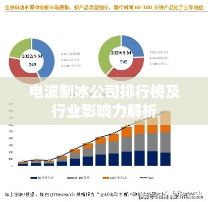 电波制冰公司排行榜及行业影响力解析