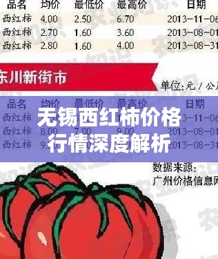 无锡西红柿价格行情深度解析