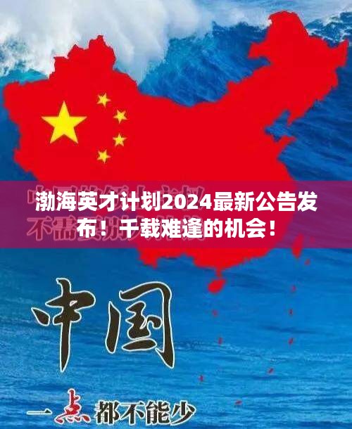 渤海英才计划2024最新公告发布！千载难逢的机会！