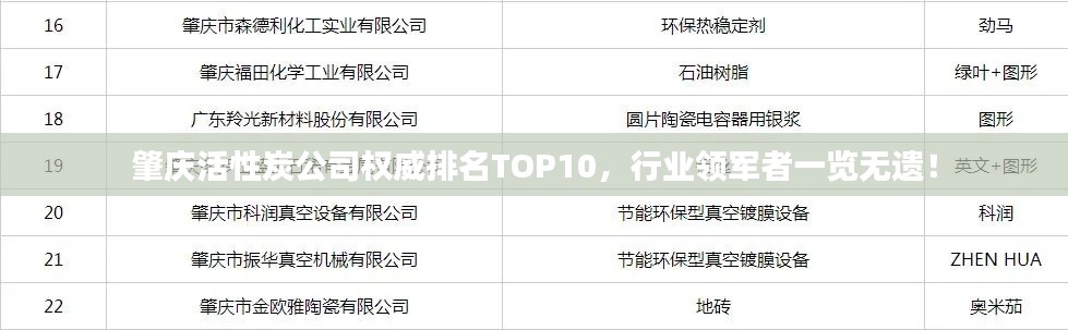 肇庆活性炭公司权威排名TOP10，行业领军者一览无遗！