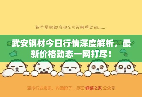 武安钢材今日行情深度解析，最新价格动态一网打尽！