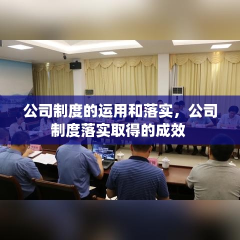 公司制度的运用和落实，公司制度落实取得的成效 