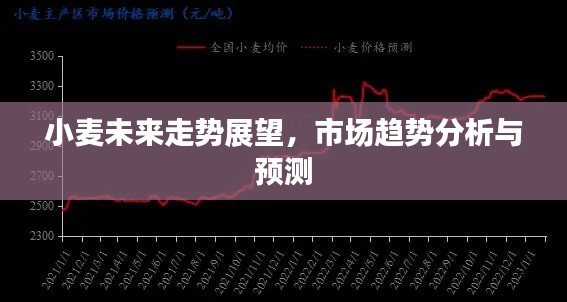 小麦未来走势展望，市场趋势分析与预测