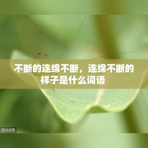 不断的连绵不断，连绵不断的样子是什么词语 