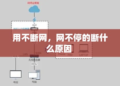 用不断网，网不停的断什么原因 