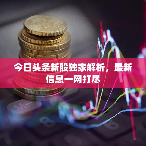 今日头条新股独家解析，最新信息一网打尽