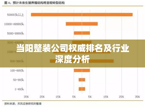 当阳整装公司权威排名及行业深度分析