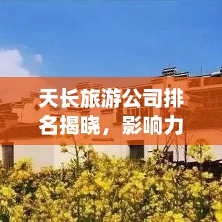 天长旅游公司排名揭晓，影响力深度解析