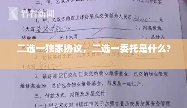 二选一独家协议，二选一委托是什么? 