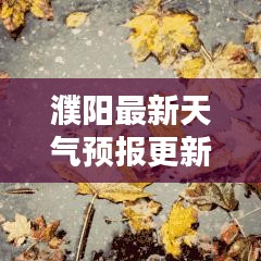 濮阳最新天气预报更新，今日天气情况一览