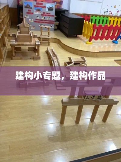 建构小专题，建构作品 