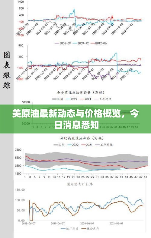 美原油最新动态与价格概览，今日消息悉知