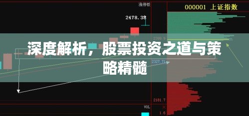 深度解析，股票投资之道与策略精髓