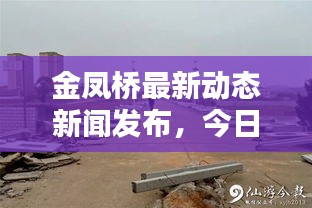 金凤桥最新动态新闻发布，今日消息一网打尽！