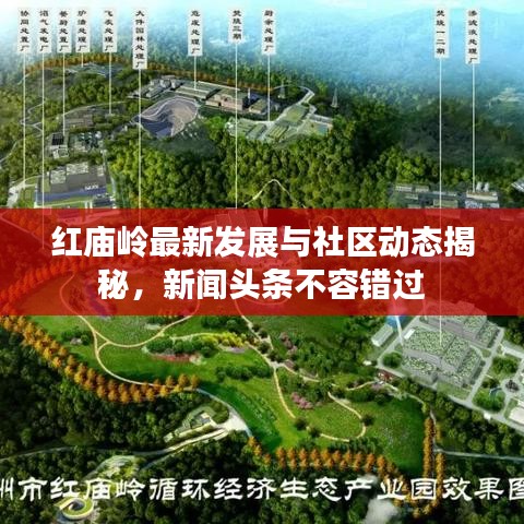 红庙岭最新发展与社区动态揭秘，新闻头条不容错过