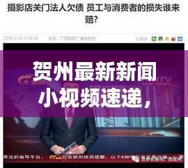 贺州最新新闻小视频速递，捕捉今日焦点，传递地方之声