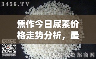 焦作今日尿素价格走势分析，最新报价及市场动态解读