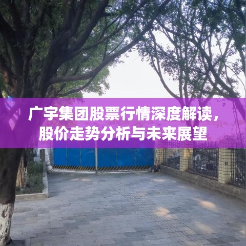 广宇集团股票行情深度解读，股价走势分析与未来展望