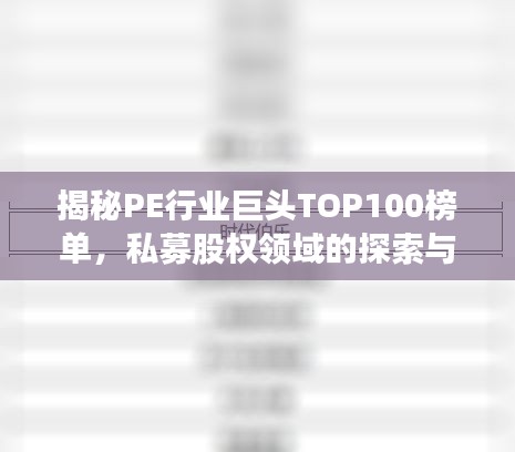 揭秘PE行业巨头TOP100榜单，私募股权领域的探索与洞察