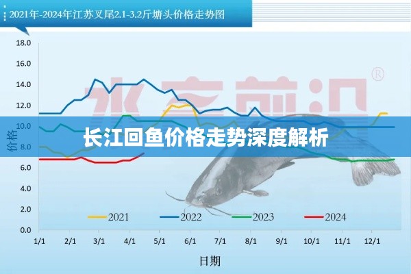 长江回鱼价格走势深度解析