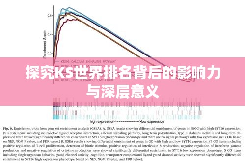 探究KS世界排名背后的影响力与深层意义