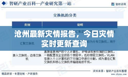 沧州最新灾情报告，今日灾情实时更新查询