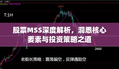 股票MSS深度解析，洞悉核心要素与投资策略之道