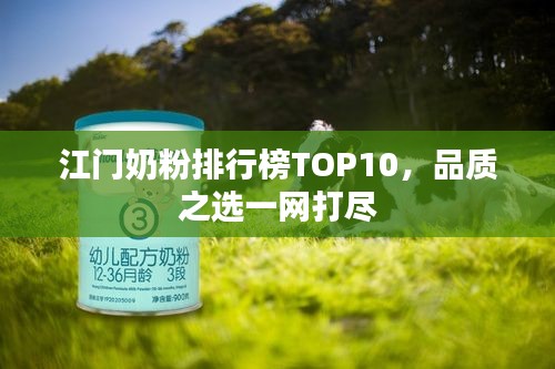 江门奶粉排行榜TOP10，品质之选一网打尽