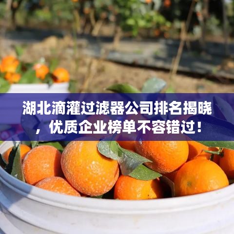 湖北滴灌过滤器公司排名揭晓，优质企业榜单不容错过！