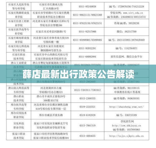 薛店最新出行政策公告解读