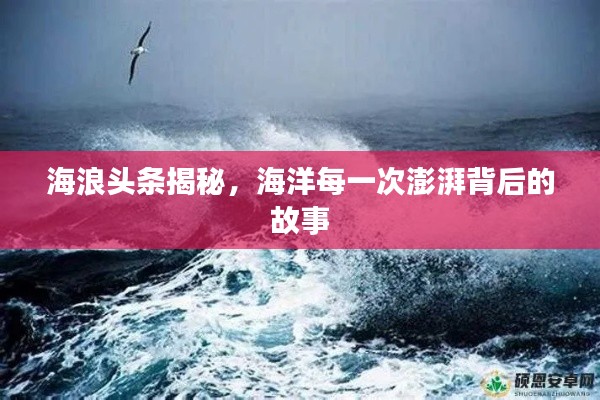 海浪头条揭秘，海洋每一次澎湃背后的故事