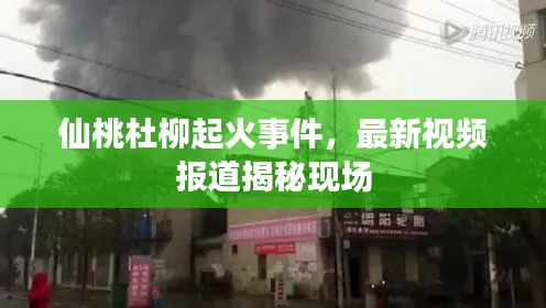 仙桃杜柳起火事件，最新视频报道揭秘现场