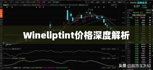 Wineliptint价格深度解析