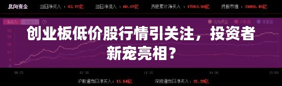 创业板低价股行情引关注，投资者新宠亮相？